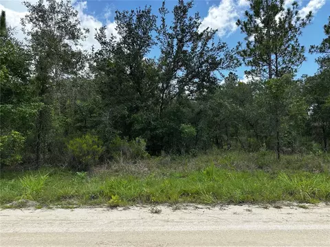 12930 NE 15th St, Williston, FL 32696 photo 8