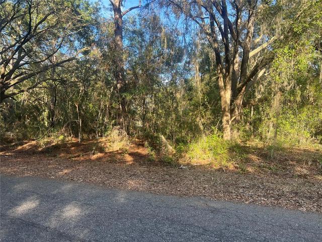 Guava Terrace, Ocklawaha, FL 32179