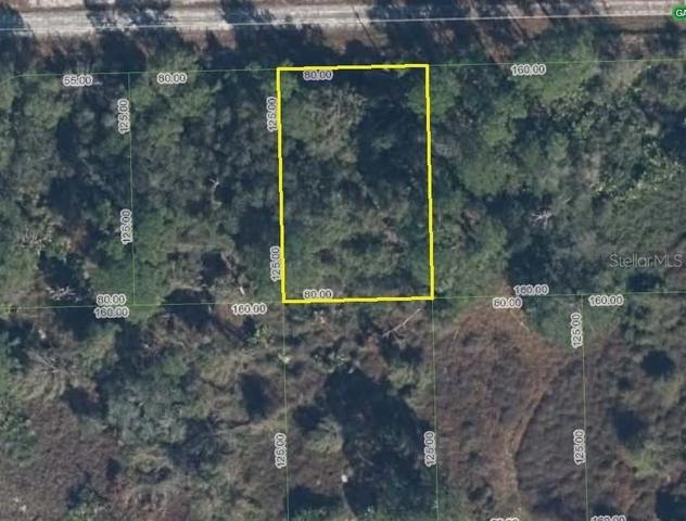 3268 Garden Glen Ave, Lake Placid, FL 33852