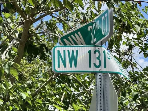 NW 131 Street, Reddick, FL 32686 photo 5
