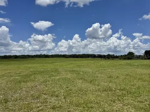 NW 131 Street, Reddick, FL 32686 photo 4