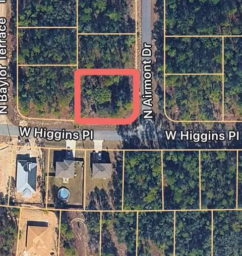 6420 N Airmont Dr, Dunnellon, FL 34433