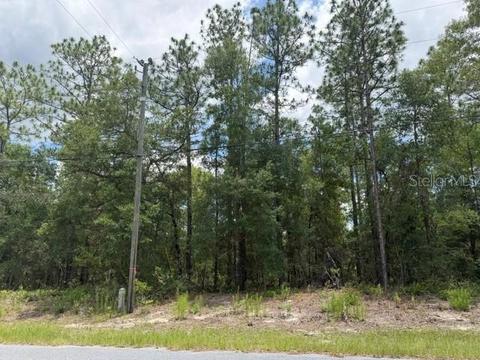 1982 W Roseboro Dr, Dunnellon, FL 34434