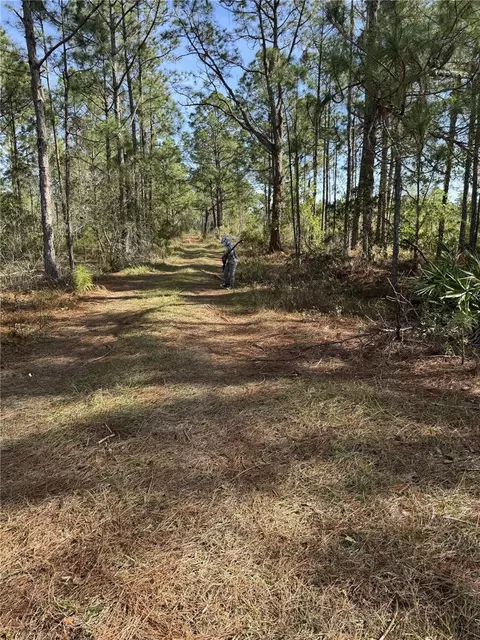 Tbd, Frostproof, FL 33843 photo 1