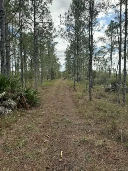 Tbd, Frostproof, FL 33843 photo 6