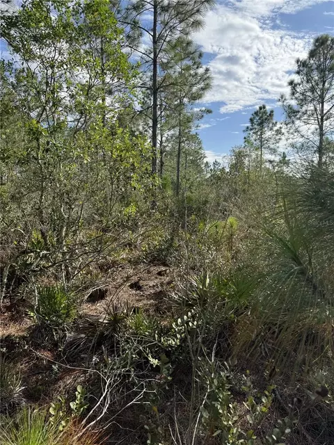 Tbd, Frostproof, FL 33843 photo 4