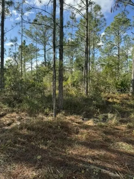 Tbd, Frostproof, FL 33843 photo 2