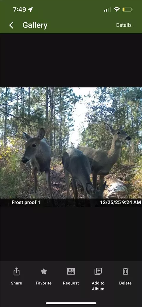 Tbd, Frostproof, FL 33843 photo 9