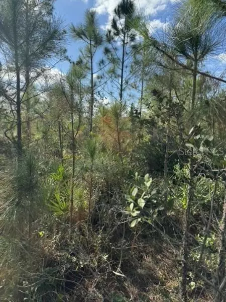 Tbd, Frostproof, FL 33843 photo 3