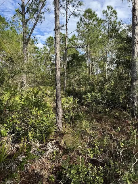 Tbd, Frostproof, FL 33843 photo 5