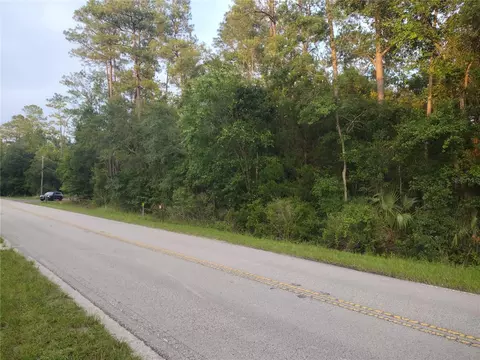 NE Hwy 314 Highway Ne, Silver Springs, FL 34488