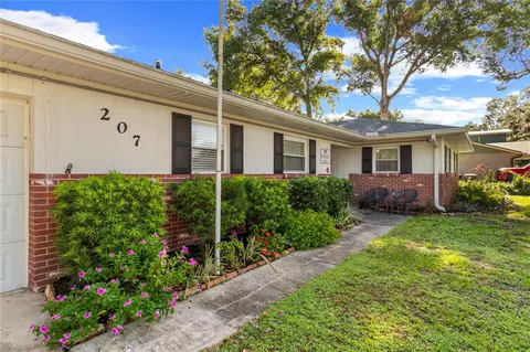 207 W Wheeler Rd, Seffner, FL 33584 photo 3