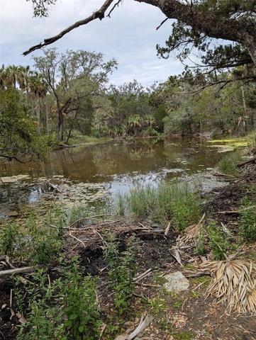 0 SE Camp B Rd, Gulf Hammock, FL 32639