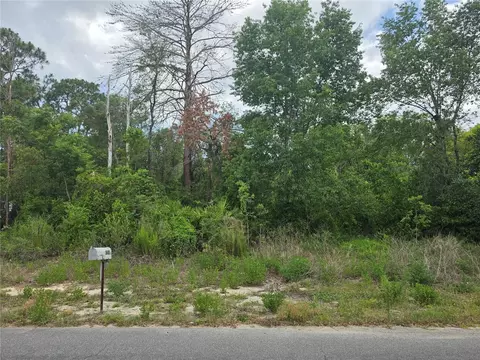 3475 El Prado Ave, Spring Hill, FL 34609 photo 3