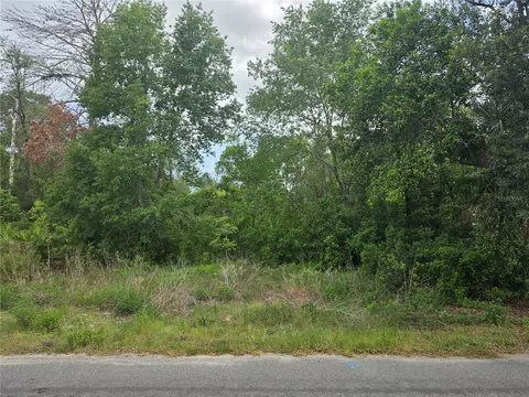 3475 El Prado Ave, Spring Hill, FL 34609 photo 4