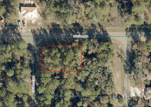 00 Guava Pass, Ocklawaha, FL 32179