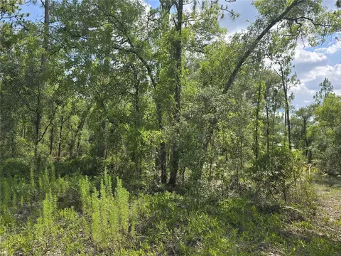 00 NE 121st Ave, Williston, FL 32696 photo 4