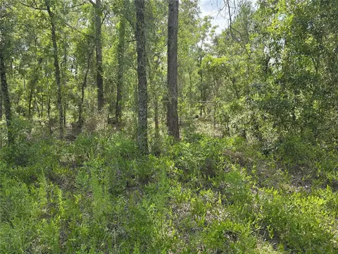 00 NE 121st Ave, Williston, FL 32696 photo 9