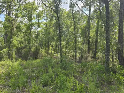 00 NE 121st Ave, Williston, FL 32696 photo 10