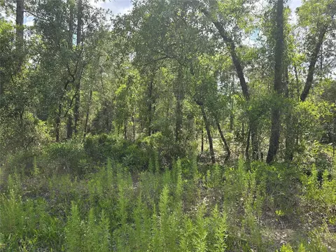 00 NE 121st Ave, Williston, FL 32696 photo 7