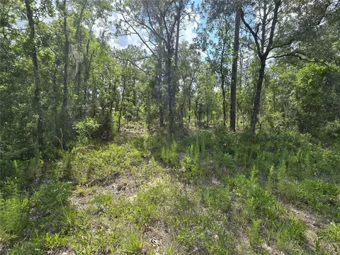 00 NE 121st Ave, Williston, FL 32696 photo 11