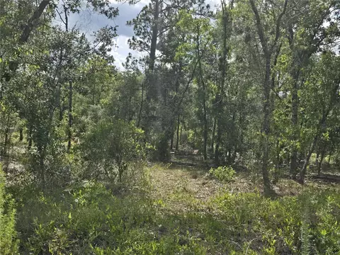 00 NE 121st Ave, Williston, FL 32696 photo 12