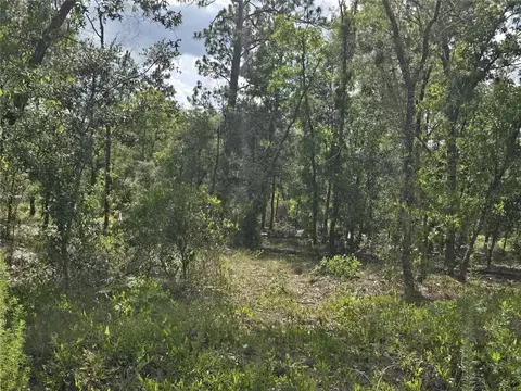 00 NE 121st Ave, Williston, FL 32696 photo 2