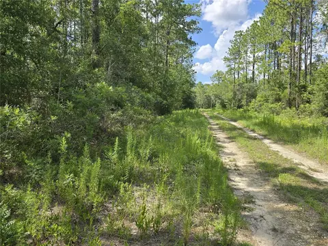 00 NE 121st Ave, Williston, FL 32696 photo 6