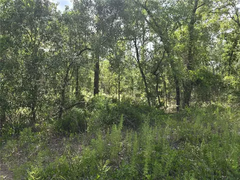 00 NE 121st Ave, Williston, FL 32696 photo 8