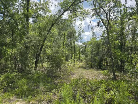 00 NE 121st Ave, Williston, FL 32696 photo 3