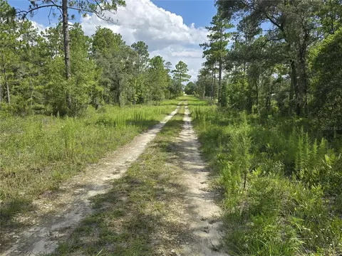 00 NE 121st Ave, Williston, FL 32696 photo 5