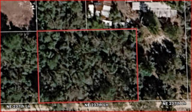 lot5 NE 6 Ne 237th Ln, Fort Mc Coy, FL 32134