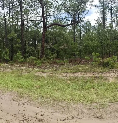 00 SW 69 Pl, Ocala, FL 34481