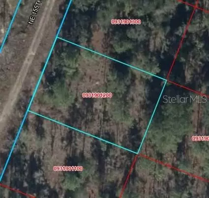 00 NE 65th Ter, Williston, FL 32696 photo 8