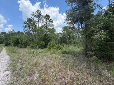 00 NE 65th Ter, Williston, FL 32696 photo 7