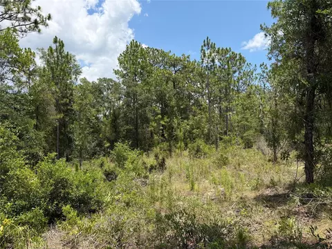 00 NE 65th Ter, Williston, FL 32696