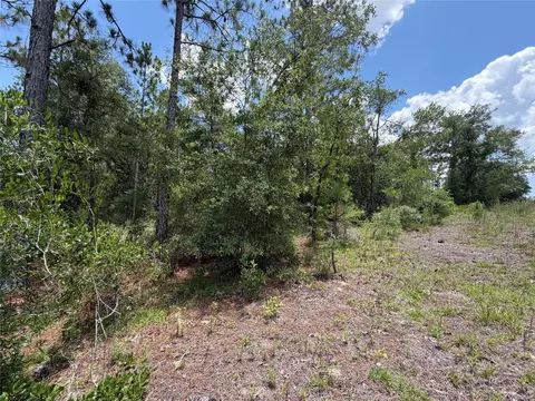 00 NE 65th Ter, Williston, FL 32696 photo 3