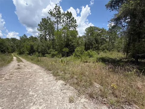 00 NE 65th Ter, Williston, FL 32696 photo 6