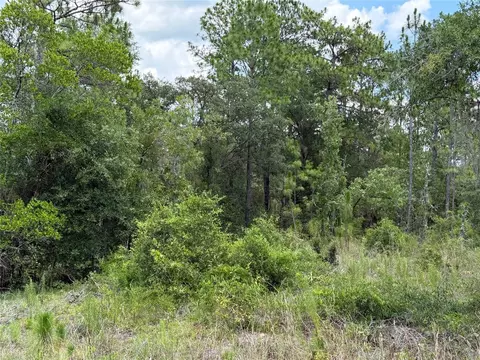 00 NE 65th Ter, Williston, FL 32696 photo 2