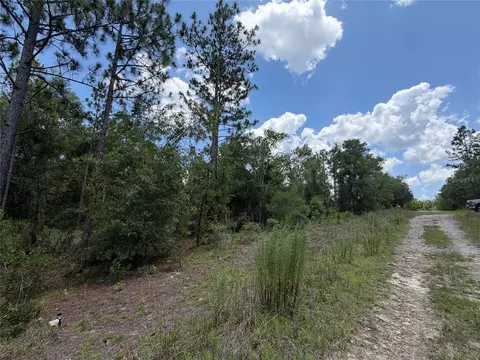 00 NE 65th Ter, Williston, FL 32696 photo 5