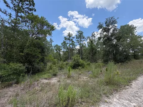 00 NE 65th Ter, Williston, FL 32696 photo 4