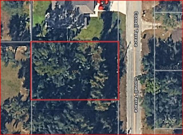 1225 Cornell Ter, Inverness, FL 34452