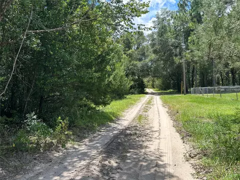 0000 NE 157th Ter, Williston, FL 32696 photo 2