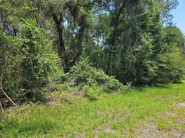 1582 Derby Dr, Dunnellon, FL 34434