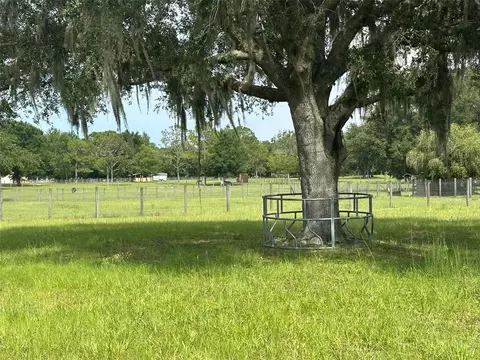 905 NW 80th Ave, Ocala, FL 34482 photo 9