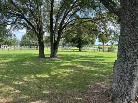 905 NW 80th Ave, Ocala, FL 34482 photo 2