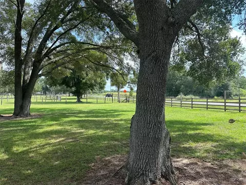 905 NW 80th Ave, Ocala, FL 34482 photo 3