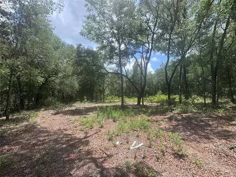 751 NE 139th Ave, Williston, FL 32696 photo 4