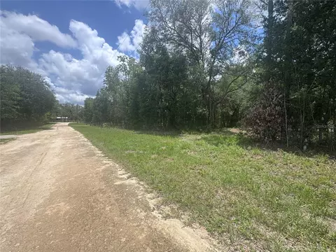 751 NE 139th Ave, Williston, FL 32696 photo 5