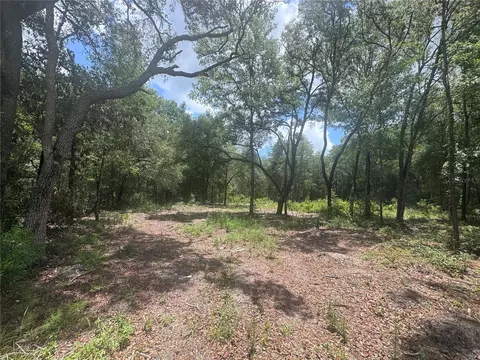 751 NE 139th Ave, Williston, FL 32696 photo 3